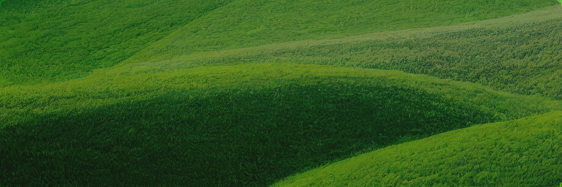 首页| PG电子游戏中国区官方网站